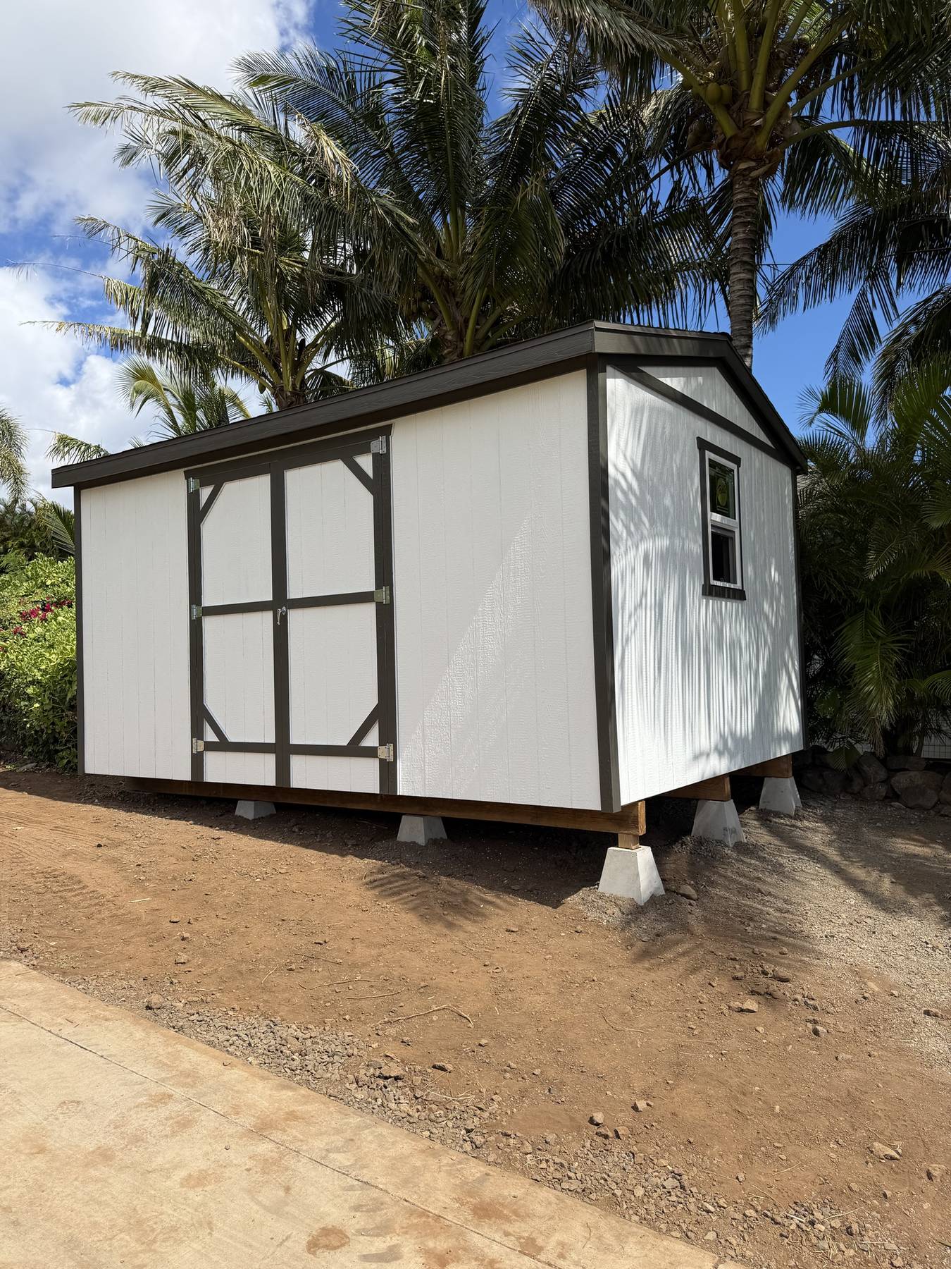 White shed with dark brown trim and double barn doors under palms